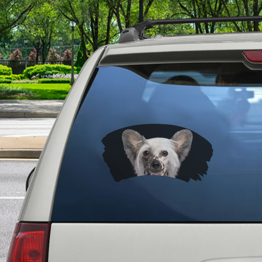 Misty Morning - Chinese Crested Window Car Decal V1