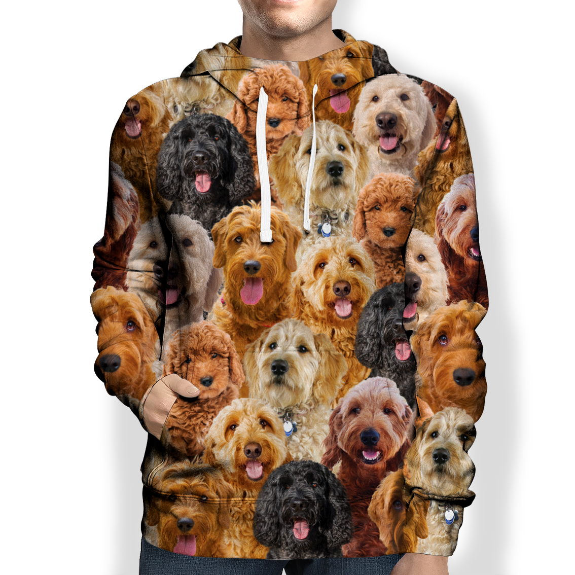 You Will Have A Bunch Of Goldendoodles - Hoodie V1