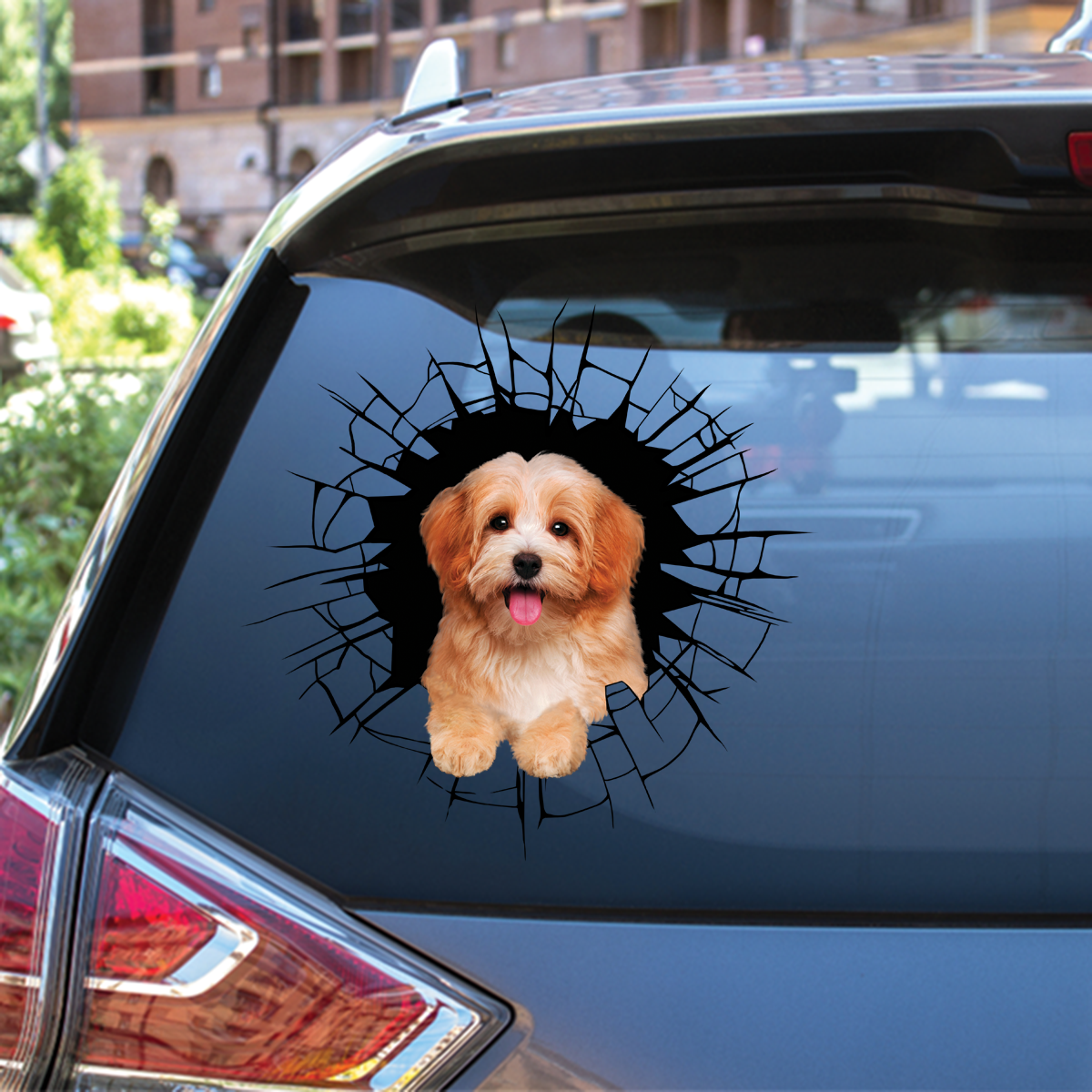Get In - It's Time For Shopping - Havanese Car/ Door/ Fridge/ Laptop Sticker V2