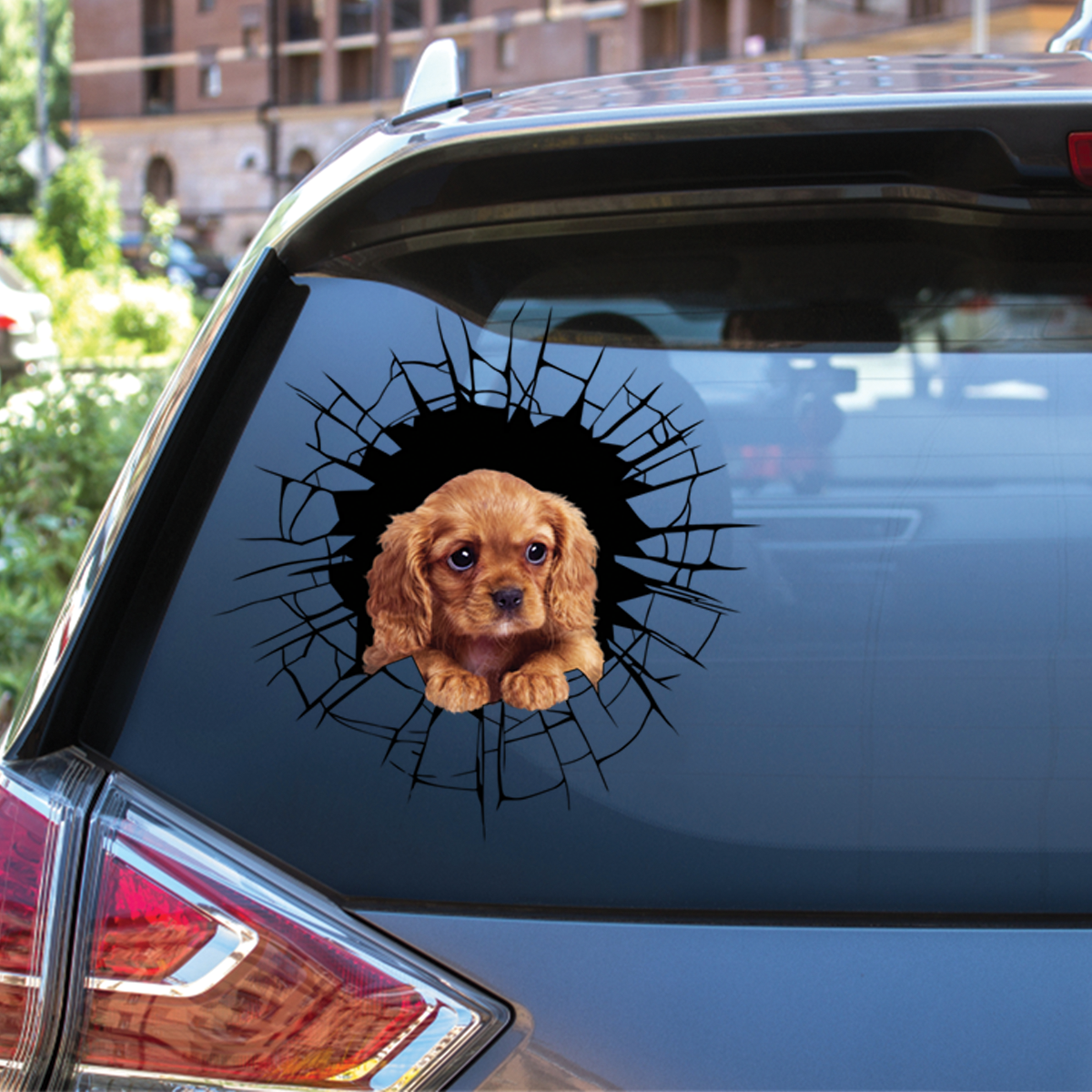 Entrez - Il est temps de faire du shopping - Cavalier King Charles Spaniel Autocollant de voiture/porte/réfrigérateur/ordinateur portable V5