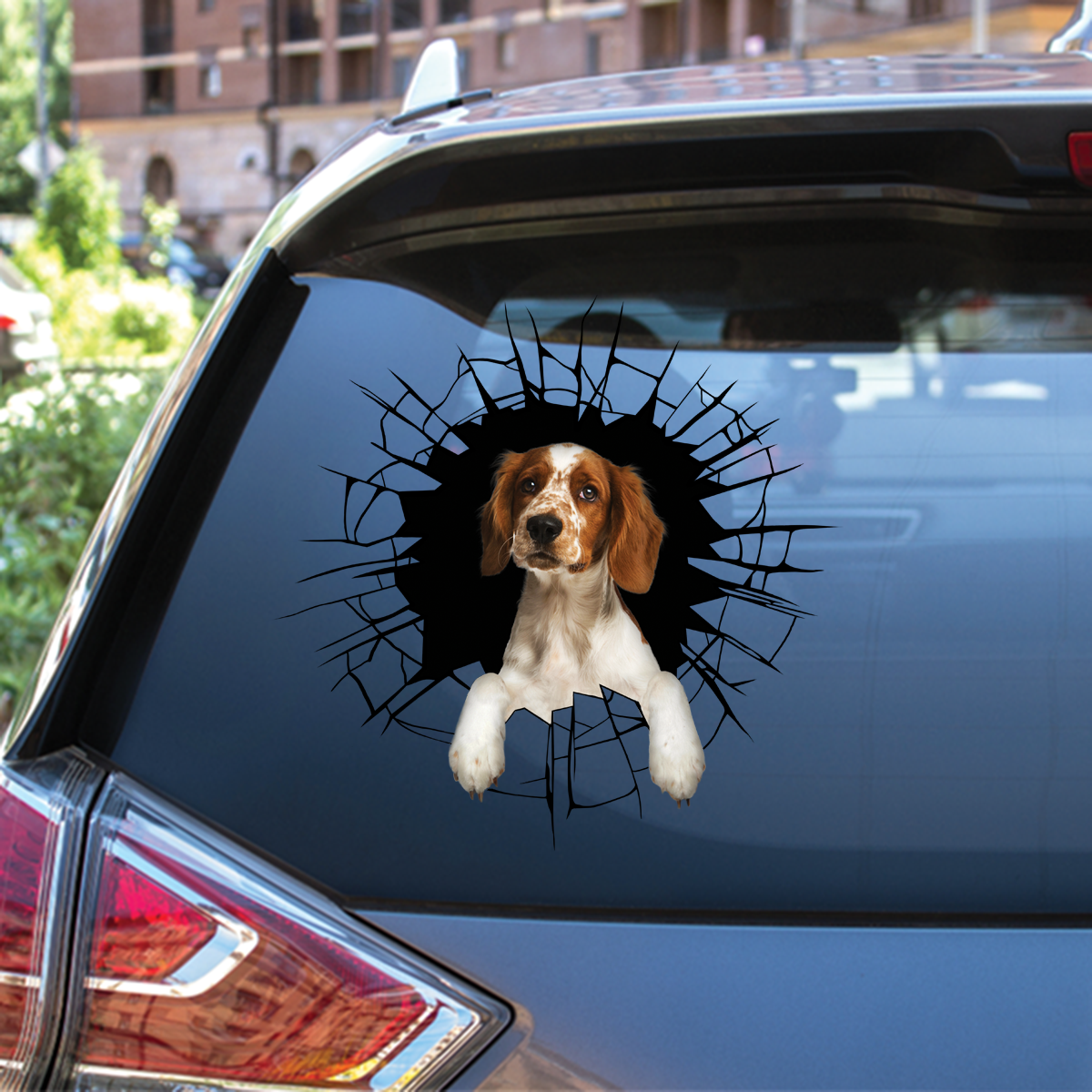 Get In - It's Time For Shopping - Welsh Springer Spaniel Car/ Door/ Fridge/ Laptop Sticker V1