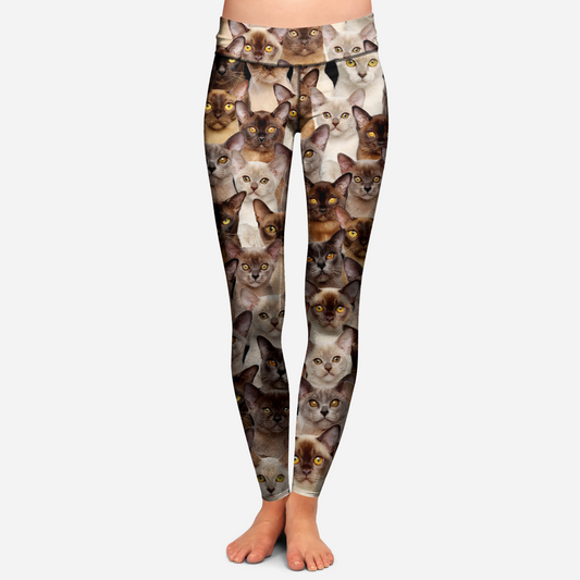 You Will Have A Bunch Of Burmese Cats - Leggings V1