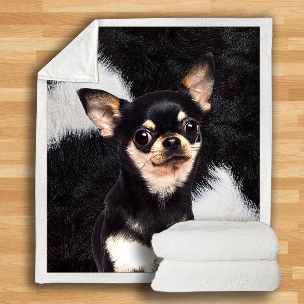 Chihuahua Blanket V5
