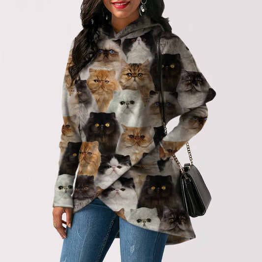 A Bunch Of Persian Cats - Fashion Long Hoodie V1