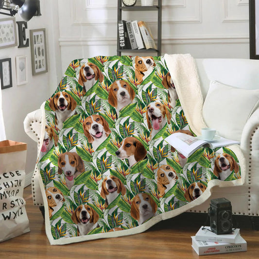 Beagle - Colorful Blanket V1