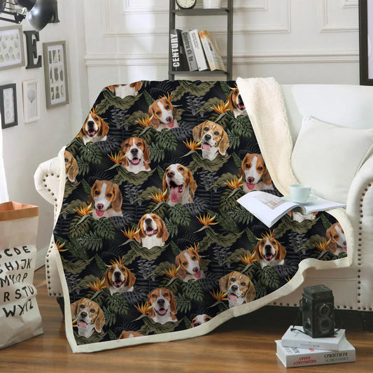Beagle - Colorful Blanket V2