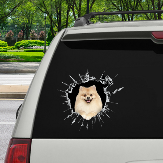 Get In - It's Time For Shopping -  Pomeranian Car/ Door/ Fridge / Laptop Sticker V3