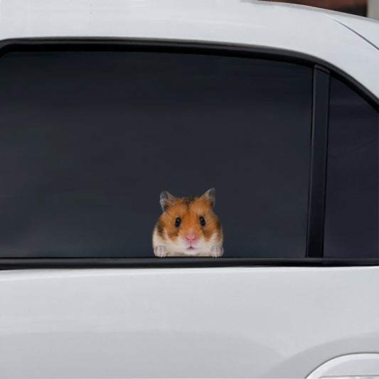 Can You See Me Now - Hamster Car/ Door/ Fridge/ Laptop Sticker V1
