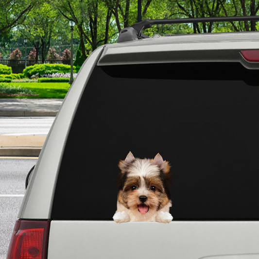Can You See Me Now - Biewer Terrier  Car/ Door/ Fridge/ Laptop Sticker V1