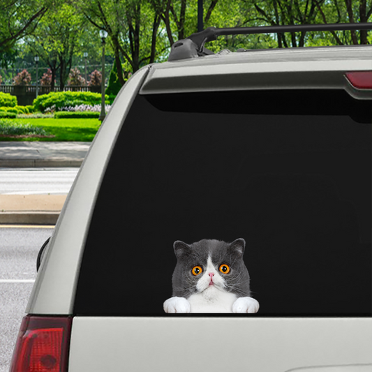 Can You See Me Now - Exotic Cat Car/ Door/ Fridge/ Laptop Sticker V1