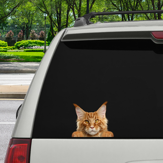 Can You See Me Now - Maine Coon Cat Car/ Door/ Fridge/ Laptop Sticker V1