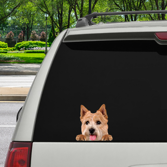 Can You See Me Now - Norwich Terrier Car/ Door/ Fridge/ Laptop Sticker V1