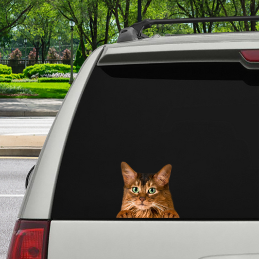 Can You See Me Now - Somali Cat Car/ Door/ Fridge/ Laptop Sticker V1