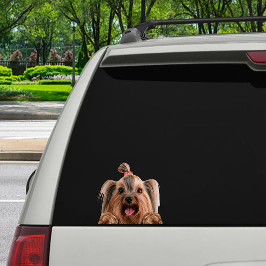 Can You See Me Now - Yorkshire Terrier Car/ Door/ Fridge/ Laptop Sticker V4