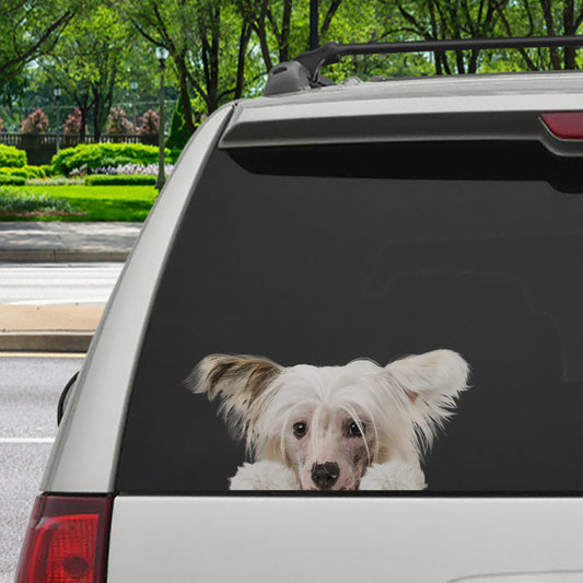 Can You See Me Now - Chinese Crested Car/ Door/ Fridge/ Laptop Sticker V1