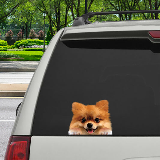 Can You See Me Now - Pomeranian Car/ Door/ Fridge/ Laptop Sticker V1