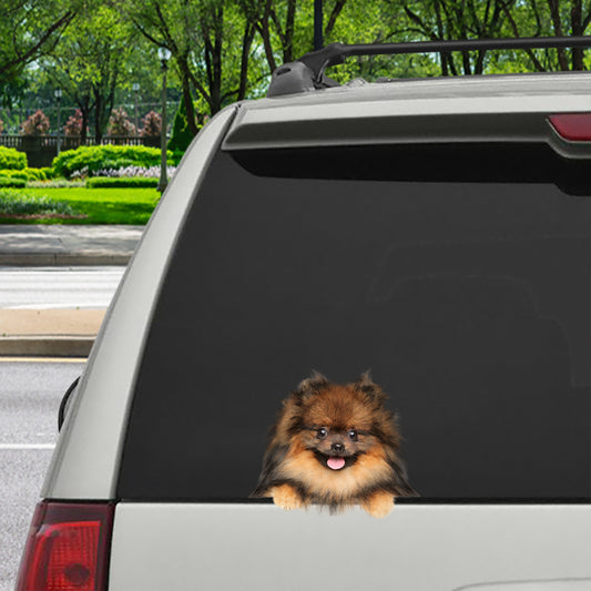 Can You See Me Now - Pomeranian Car/ Door/ Fridge/ Laptop Sticker V2