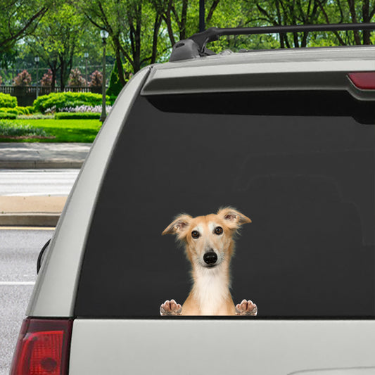 Can You See Me Now - Longhaired Whippet Car/ Door/ Fridge/ Laptop Sticker V1