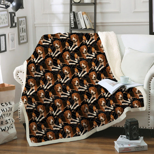 Cute Beagle - Blanket V1