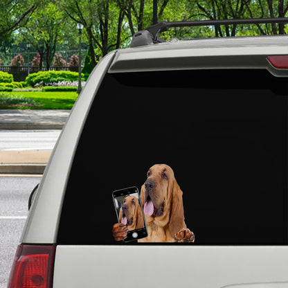 Do You Like My Selfie - Bloodhound Car/ Door/ Fridge/ Laptop Sticker V1