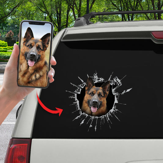 Get In - It's Time For Shopping - Personalized Sticker With Your Pet's Photo