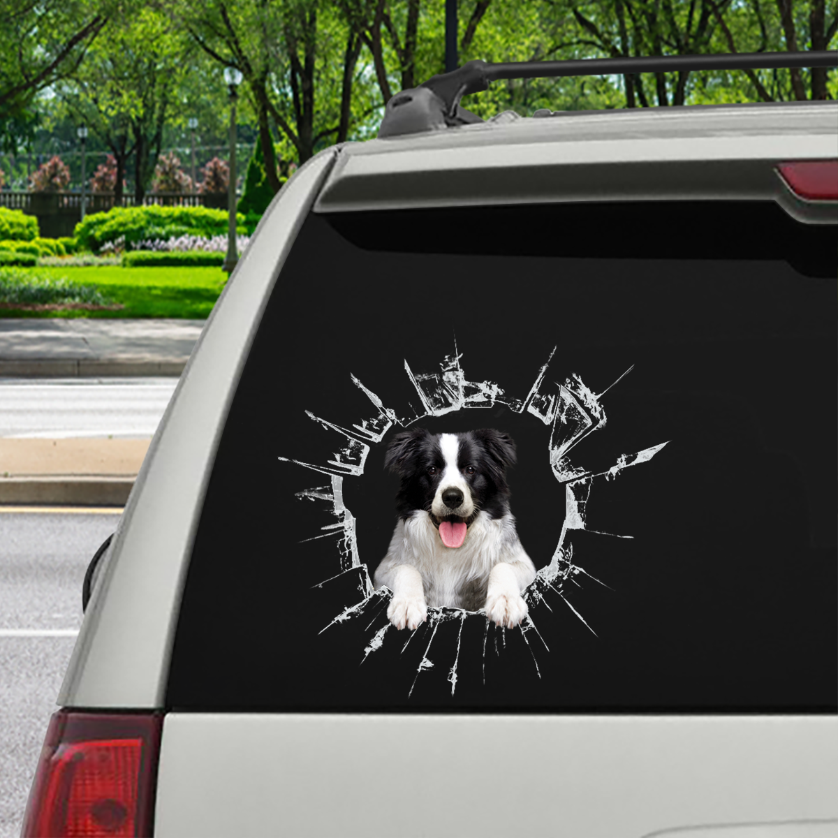 Entrez - Il est temps de faire du shopping - Autocollant de voiture Border Collie V1