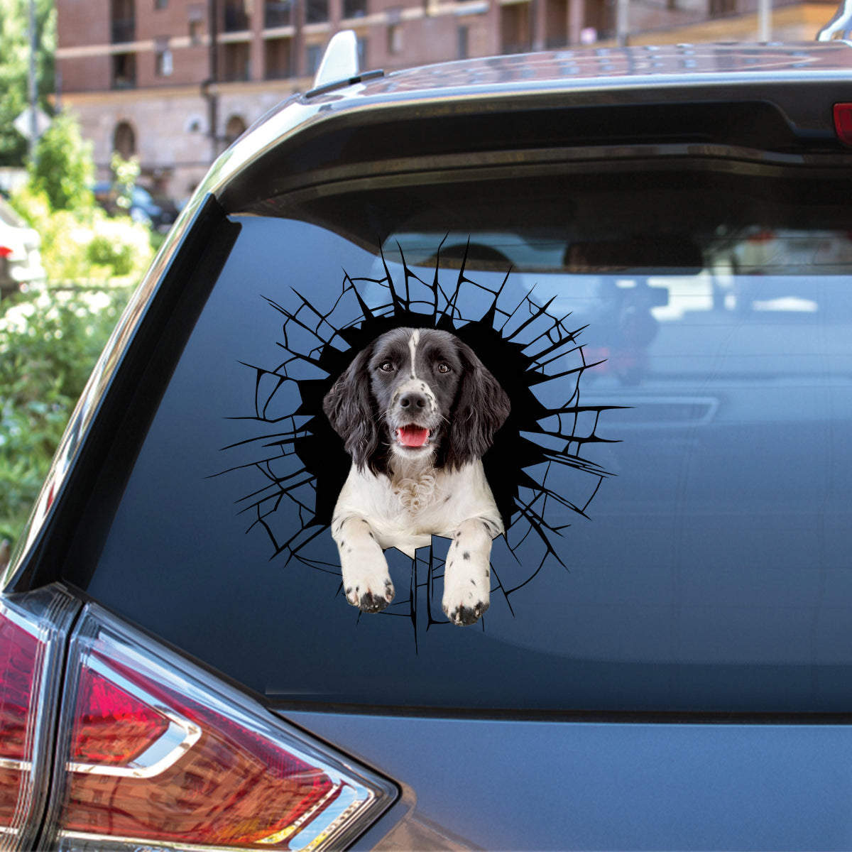 Steigen Sie ein – es ist Zeit zum Einkaufen – Englischer Springer Spaniel Auto-/Tür-/Kühlschrank-/Laptop-Aufkleber V2