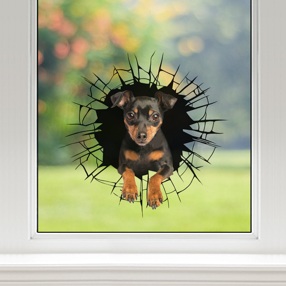 Entrez - Il est temps de faire du shopping - Autocollant Pinscher miniature pour voiture/porte/réfrigérateur/ordinateur portable V4