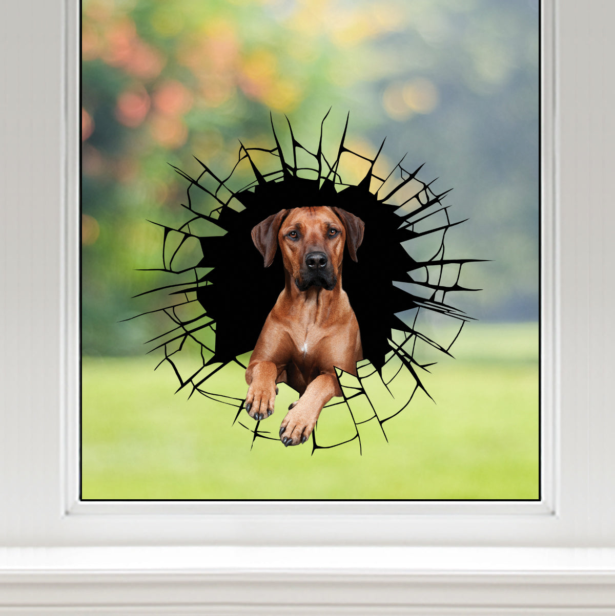 Entrez - Il est temps de faire du shopping - Autocollant de voiture/porte/réfrigérateur/ordinateur portable Rhodesian Ridgeback V1