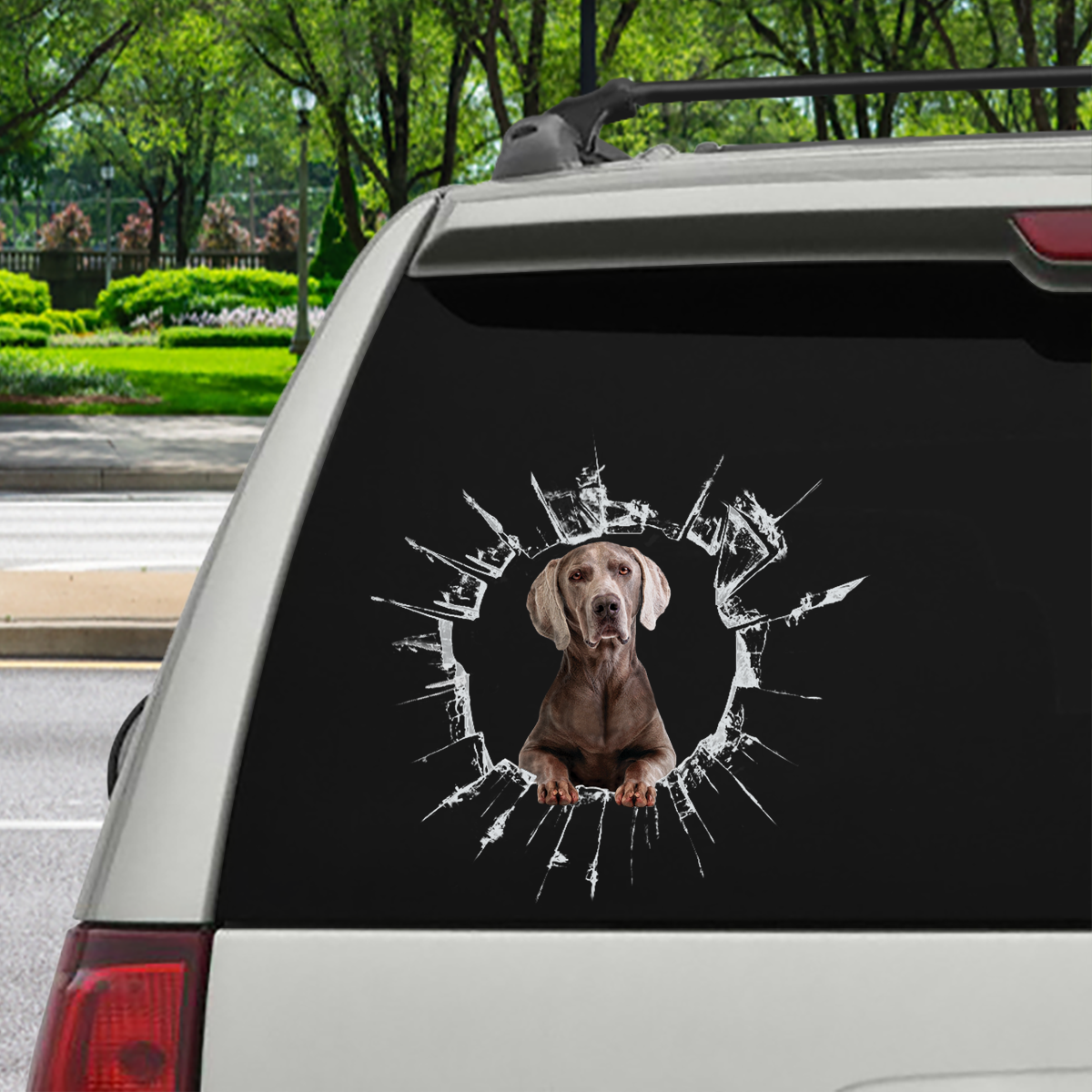 Get In - It's Time For Shopping - Weimaraner Car/ Door/ Fridge/ Laptop Sticker V1