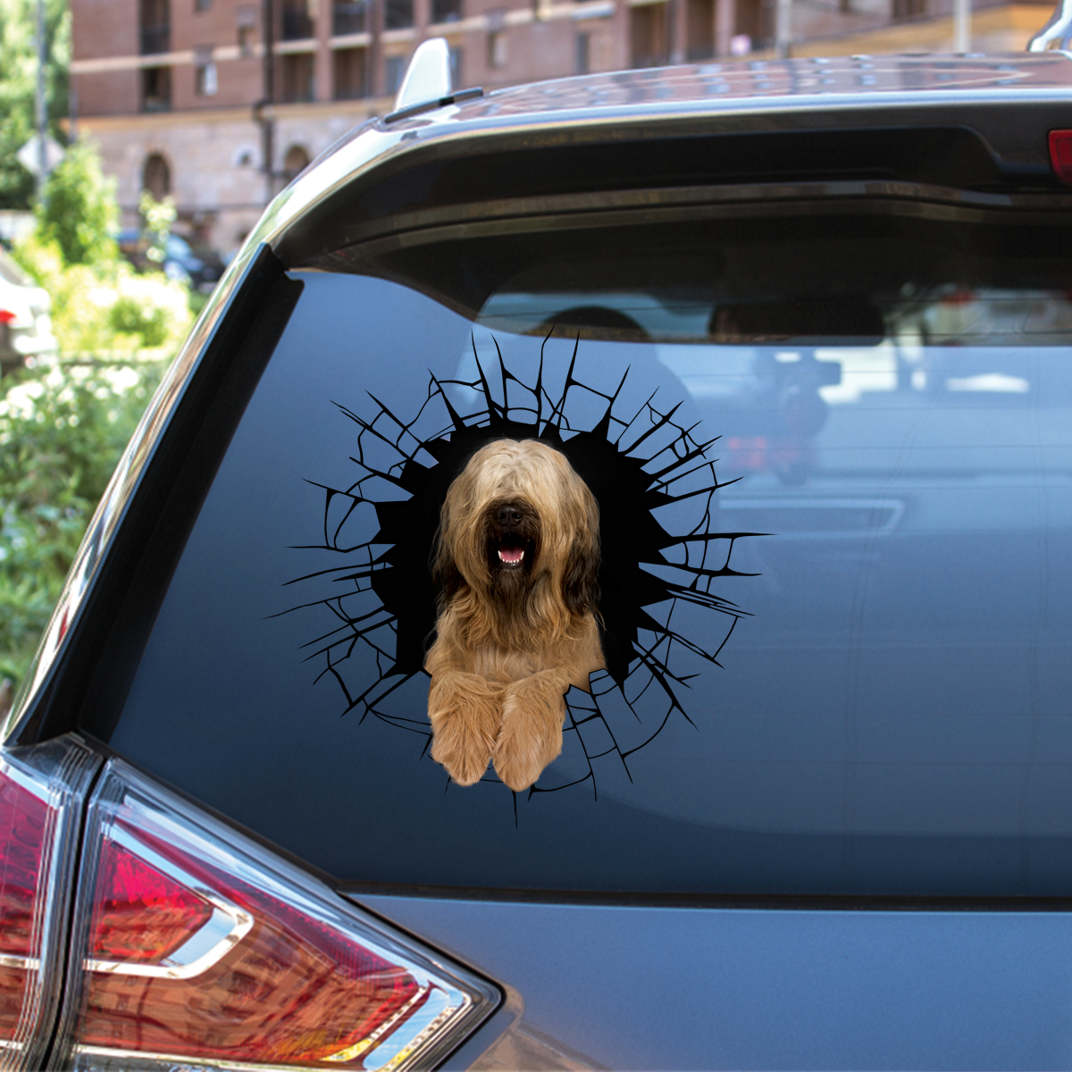 Entrez - Il est temps de faire du shopping - Briard Autocollant voiture/porte/réfrigérateur/ordinateur portable V1