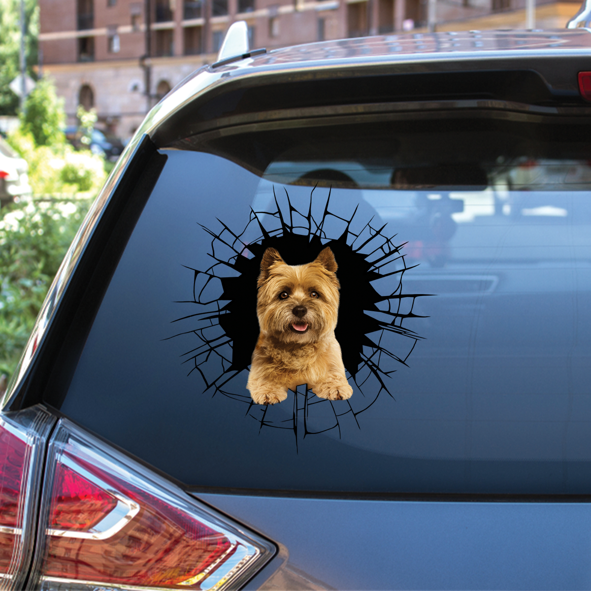 Entrez - Il est temps de faire du shopping - Cairn Terrier Autocollant de voiture/porte/réfrigérateur/ordinateur portable V1
