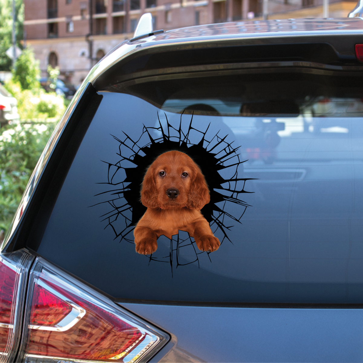 Entrez - Il est temps de faire du shopping - Autocollant de voiture/porte/réfrigérateur/ordinateur portable Irish Setter V1