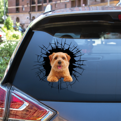 Get In - It's Time For Shopping - Norfolk Terrier Car/ Door/ Fridge/ Laptop Sticker V1