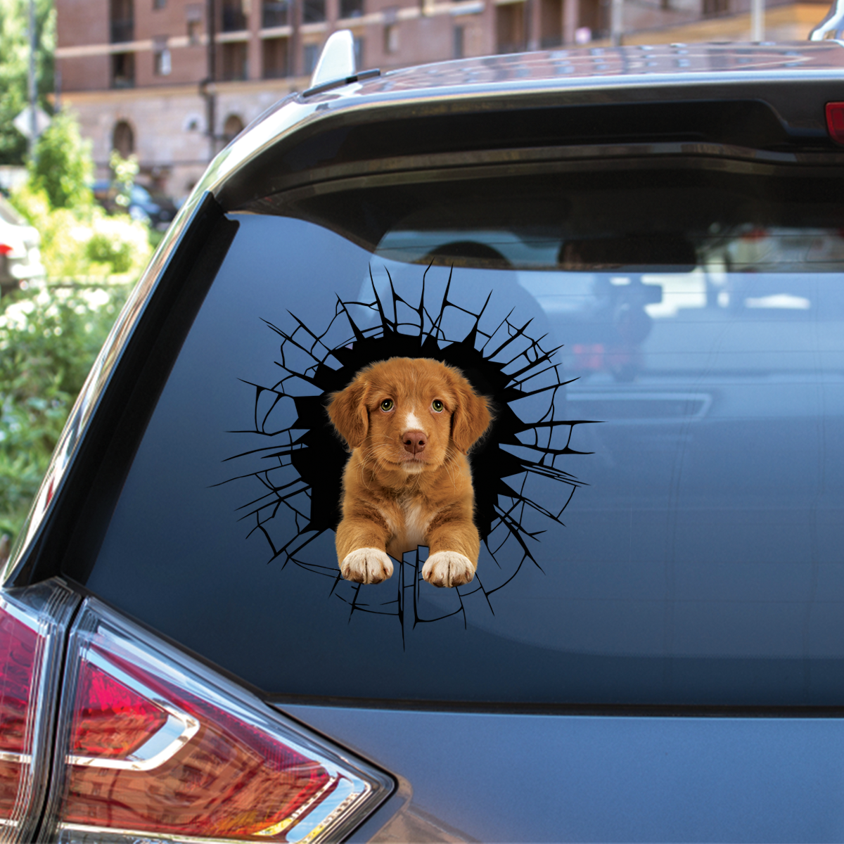 Get In - It's Time For Shopping - Nova Scotia Duck Tolling Retriever Car/ Door/ Fridge/ Laptop Sticker V1