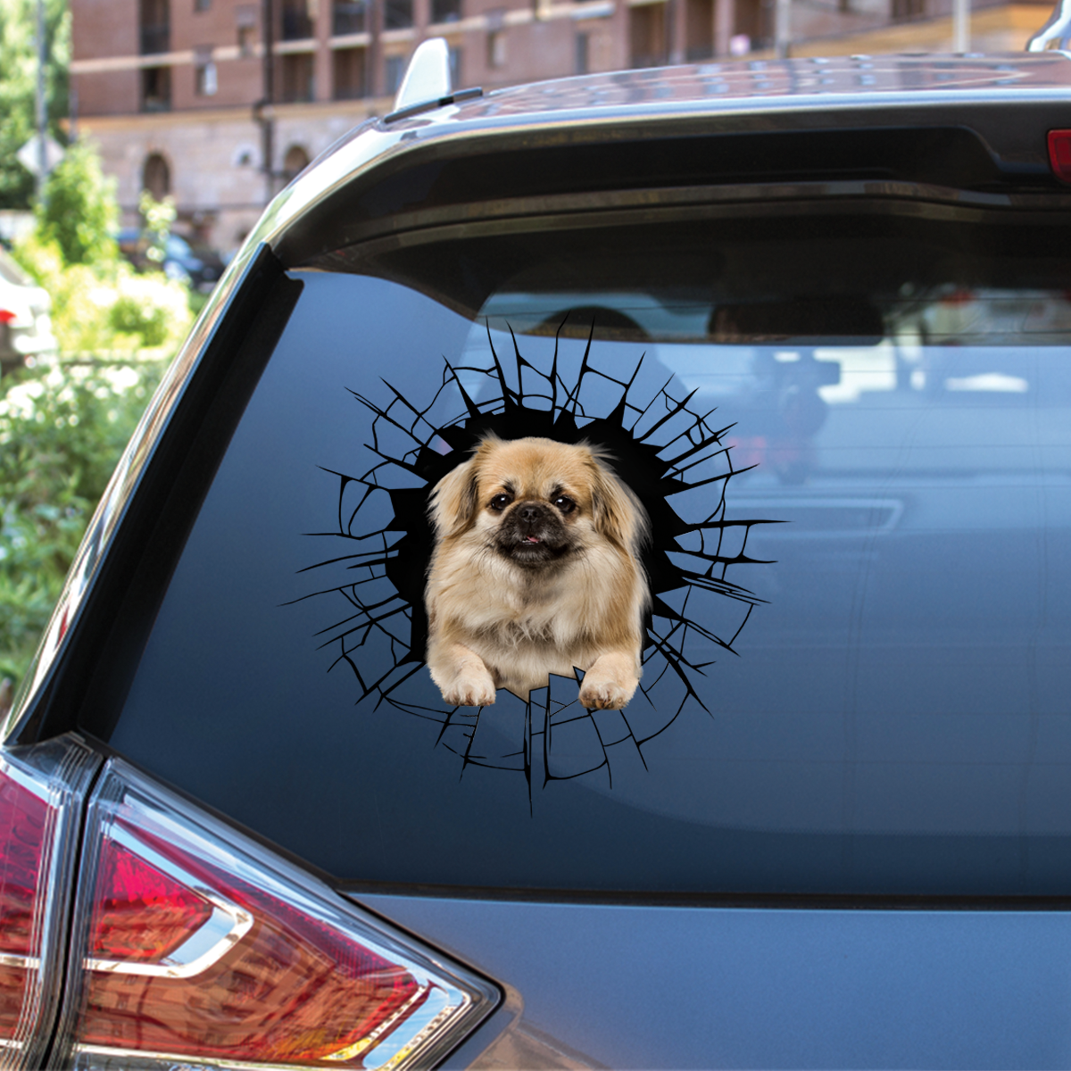 Get In - It's Time For Shopping - Tibetan Spaniel Car/ Door/ Fridge/ Laptop Sticker V1