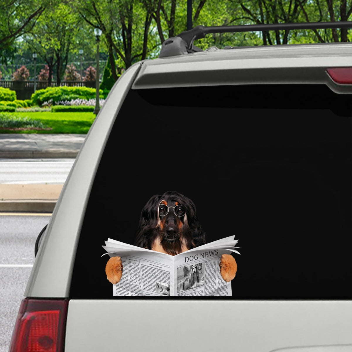 Have You Read The News Today - Afghan Hound Car/ Door/ Fridge/ Laptop Sticker V1
