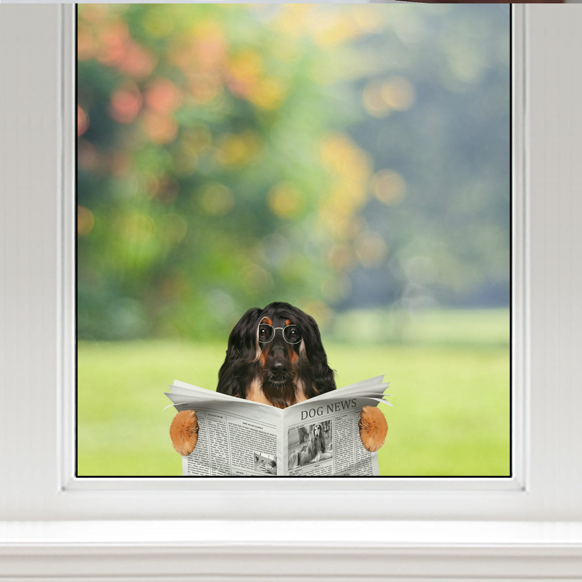 Have You Read The News Today - Afghan Hound Car/ Door/ Fridge/ Laptop Sticker V1