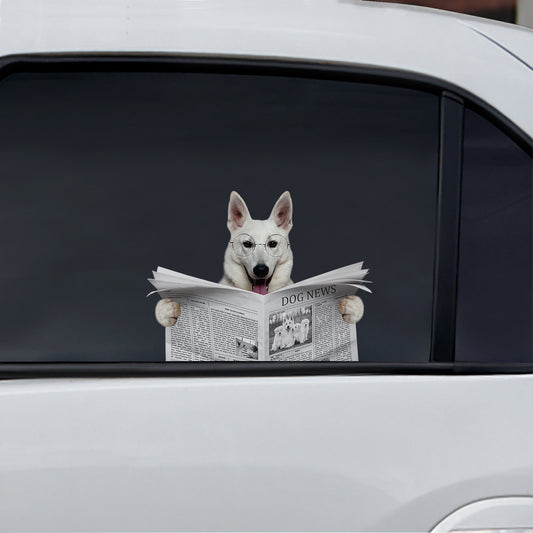 Have You Read The News Today - Berger Blanc Suisse Car/ Door/ Fridge/ Laptop Sticker V1
