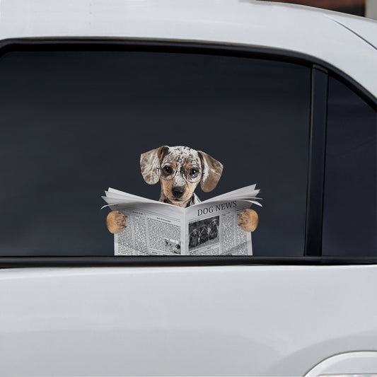 Have You Read The News Today - Dapple Dachshund Car/ Door/ Fridge/ Laptop Sticker V1