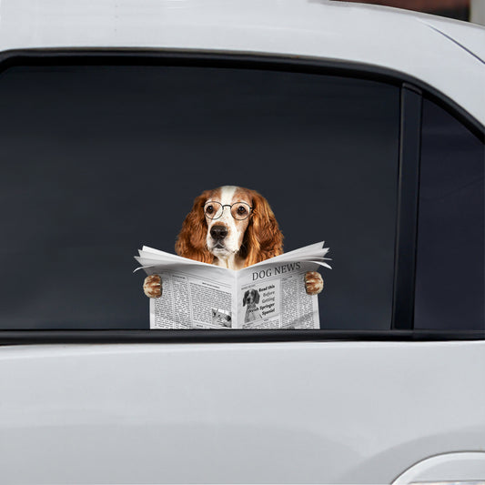 Have You Read The News Today - Welsh Springer Spaniel Car/ Door/ Fridge/ Laptop Sticker V1