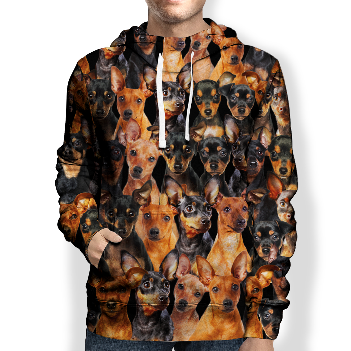 You Will Have A Bunch Of Miniature Pinschers - Hoodie V1