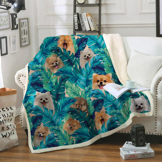 Pomeranian - Colorful Blanket V2