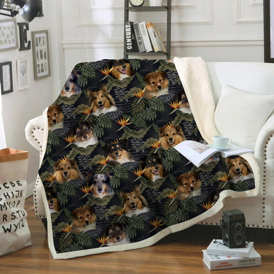 Shetland Sheepdog - Colorful Blanket V2