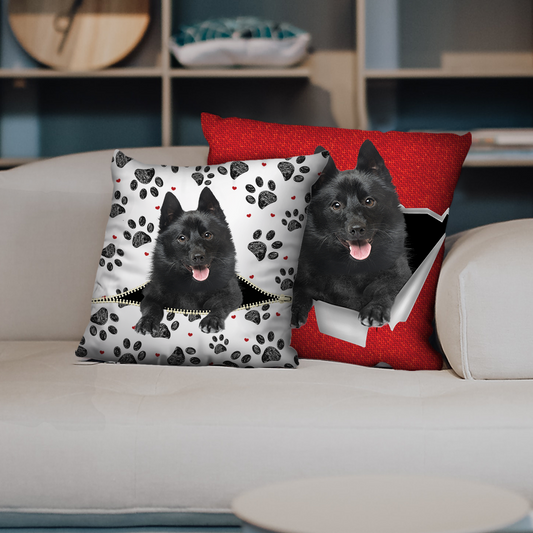 They Steal Your Couch - Schipperke Pillow Cases V1 (Set of 2)
