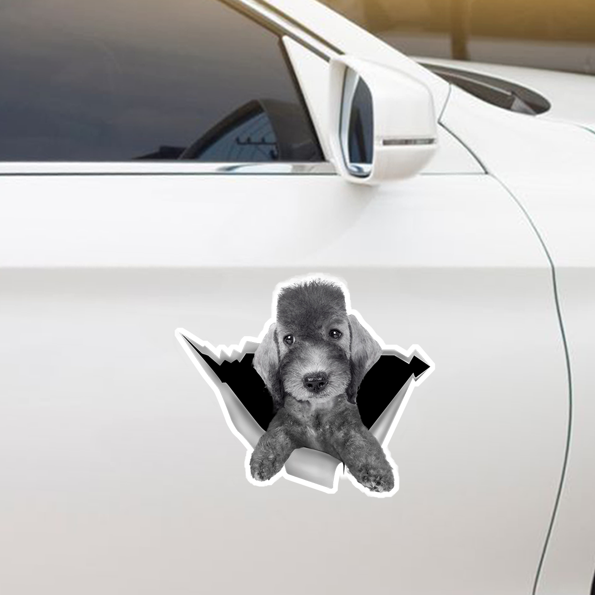 We Like Riding In Cars - Bedlington Terrier Car/ Door/ Fridge/ Laptop Sticker V1