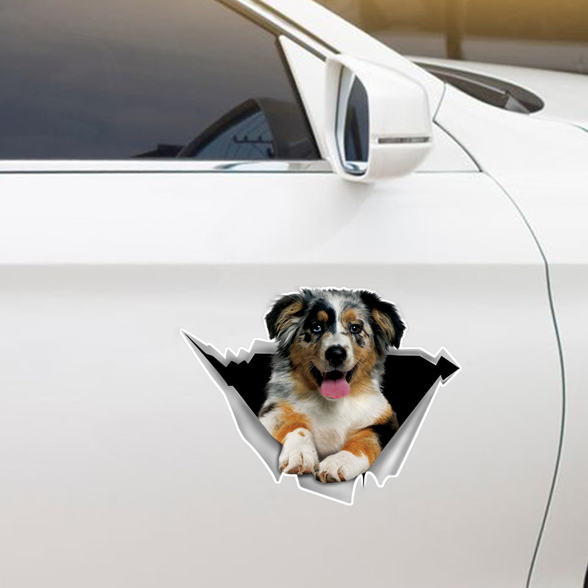 We Like Riding In Cars -  Australian Shepherd Car/ Door/ Fridge/ Laptop Sticker V1