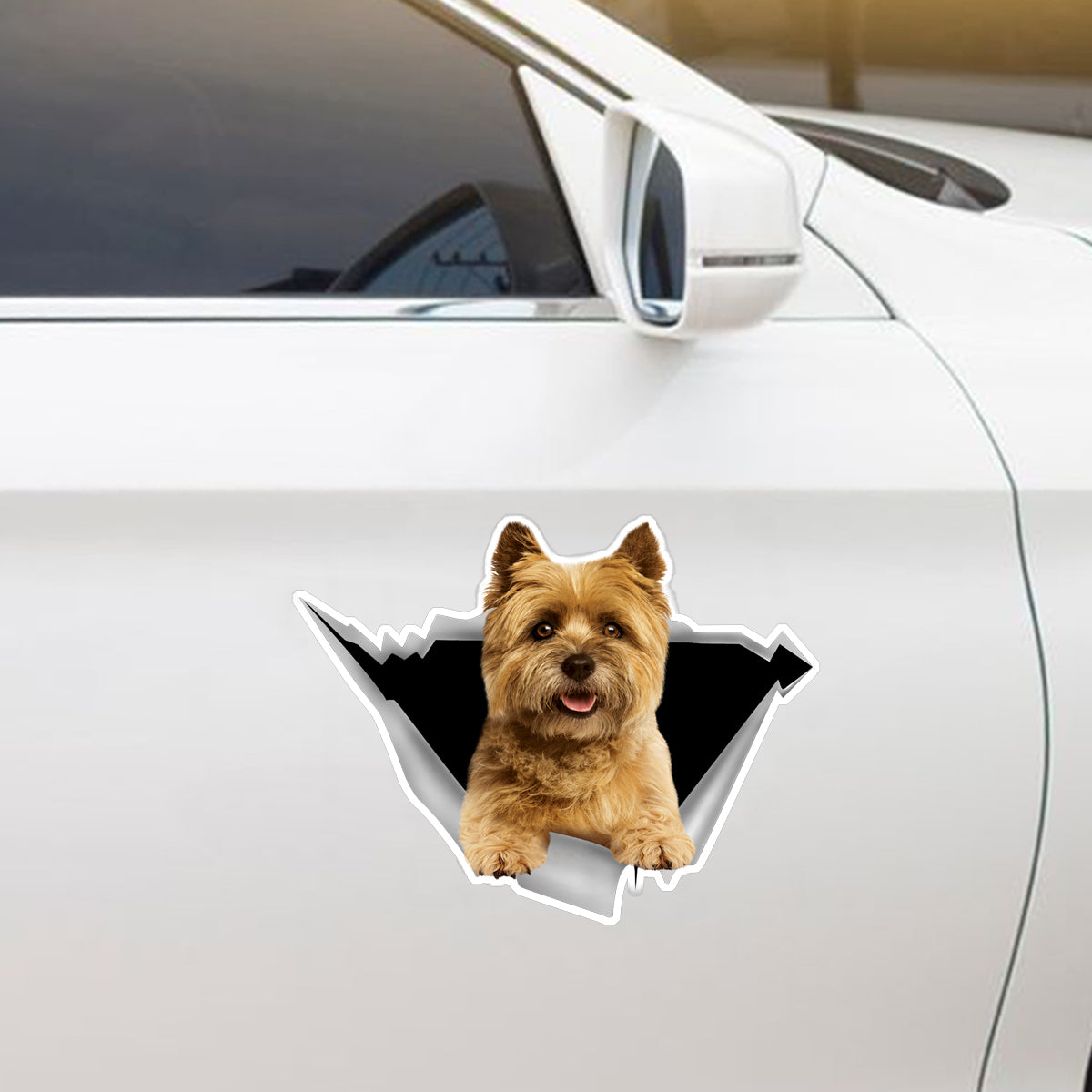 We Like Riding In Cars - Cairn Terrier Car/ Door/ Fridge/ Laptop Sticker V1