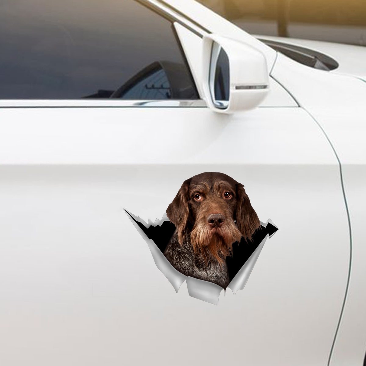 We Like Riding In Cars - German Wirehaired Pointer Car/ Door/ Fridge/ Laptop Sticker V1