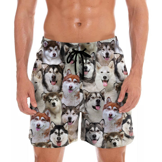 You Will Have A Bunch Of Alaskan Malamutes - Shorts V1